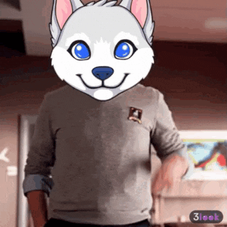 a man wearing a sweater with a husky mask on his face