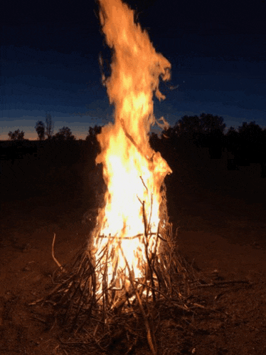 a large fire is burning in the dark with trees in the background