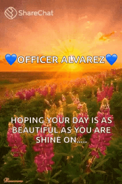 a picture of a field of flowers with the words " hoping your day is as beautiful as you are shine on ... "