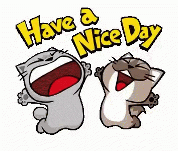 Have A Nice Day Cats GIF - Have A Nice Day Cats Dancing Cats GIFs