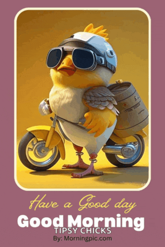 a chicken wearing a helmet and goggles is on a motorcycle and says have a good day
