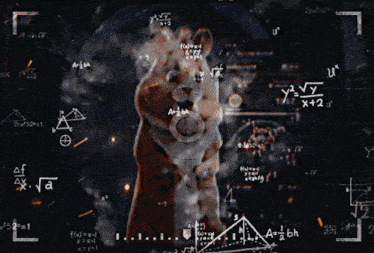 a hamster is surrounded by mathematical equations including x2 = y2 and x + 2