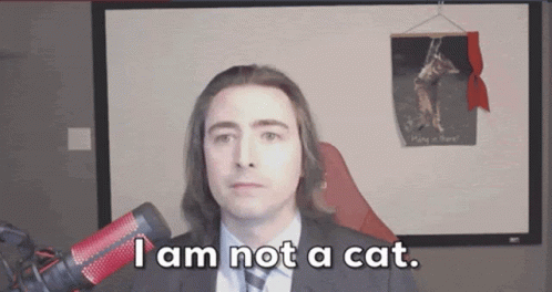 I Am Not A Cat Roaring Kitty GIF - I Am Not A Cat Roaring Kitty Gme GIFs