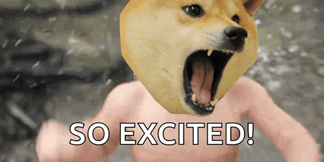 a picture of a dog with the words so excited on it