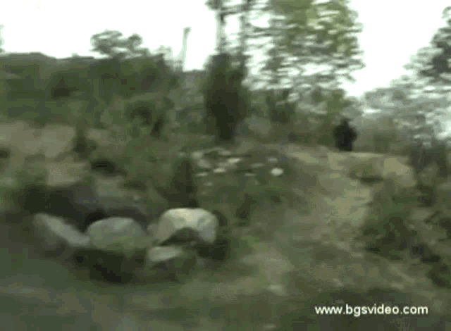 Gorilla Walking Run GIF