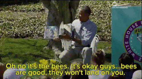 Oh No It'S The Bees GIF - Obama Story Telling Bees Are Okay GIFs