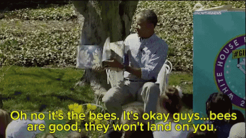 a man is reading a book to a group of children and says oh no it 's the bees it 's okay guys