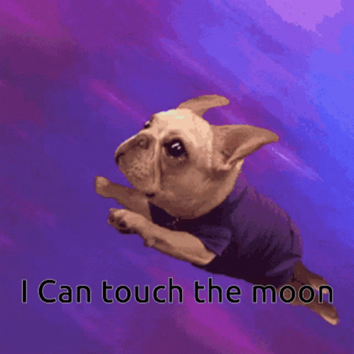 I Can Touch The Moon Dog GIF - I Can Touch The Moon Dog Cute GIFs