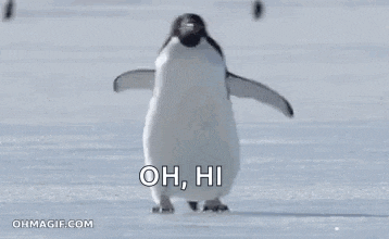 a penguin is standing on top of a snow covered field and says `` oh , hi '' .