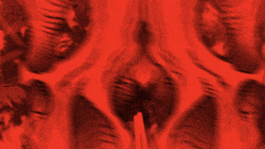a red background with a pentagram and a skull