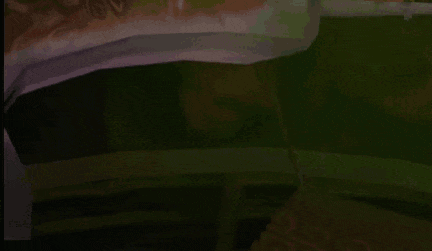 a video game screen shows a speech bubble with razputin written on it