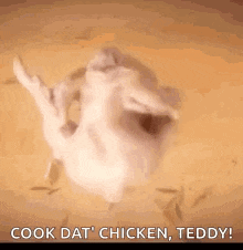 Thanksgiving Party GIF