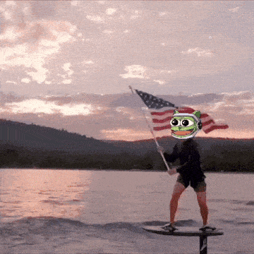 a person on a surfboard holding an american flag with a frog on their head