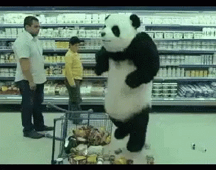 Panda Angry GIF - Panda Angry Bad GIFs