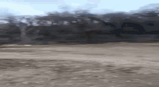 a person is walking down a dirt road next to a river .