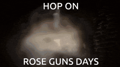 a poster that says hop on rose guns days on it