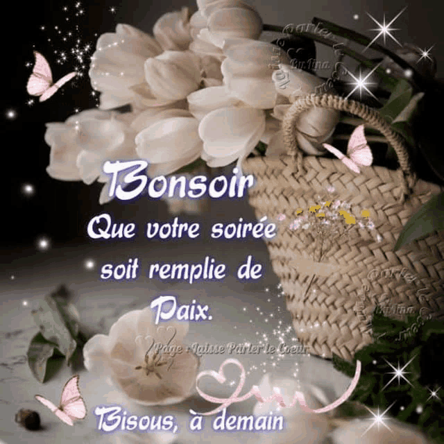 a greeting card with flowers and butterflies says bonsoir que votre soiree soit remplie de paix