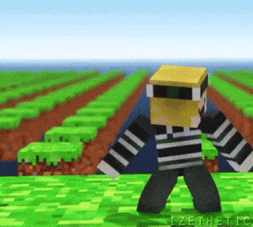 a minecraft character is standing on a grassy field