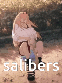 a girl is sitting on a seesaw with the words salibers written on it