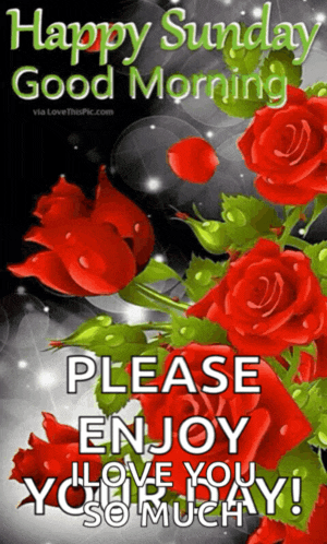 a picture of red roses with the words happy sunday good morning please enjoy i love you so much