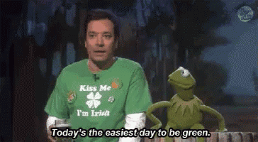 jimmy fallon is talking to kermit the frog while wearing a green shirt that says kiss me i 'm irish