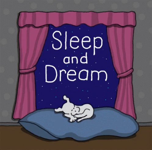 Sleep And Dream Goodnight GIF - Sleep And Dream Goodnight GIFs