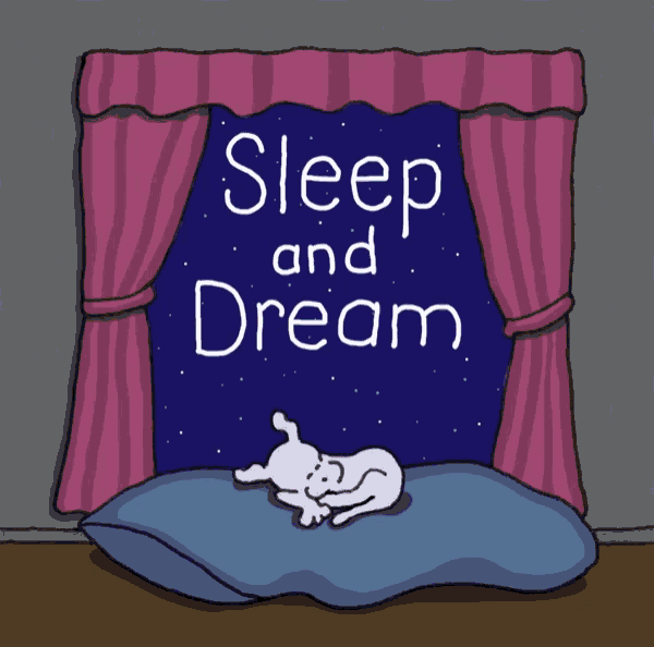 a poster that says sleep and dream with a dog sleeping on a pillow in front of a window