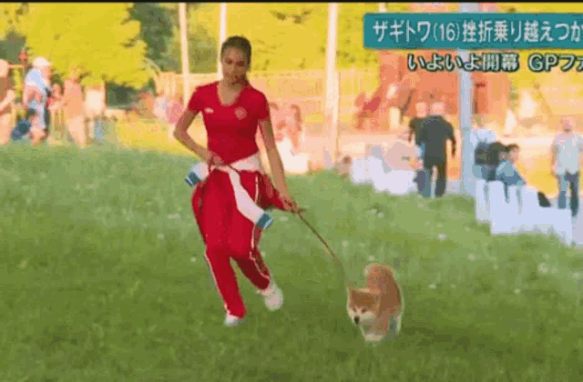 a woman in a red shirt is walking a dog on a leash in a park