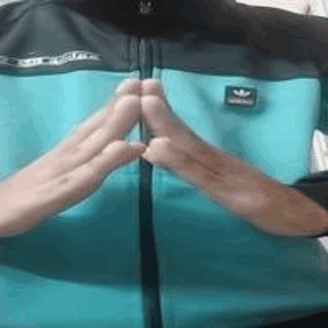 a person is wearing a blue and black jacket with their hands folded .