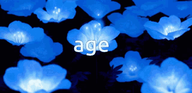 the word age that is on a blue flower