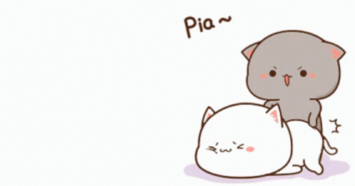 Cute Cat GIF - Cute Cat Peach GIFs