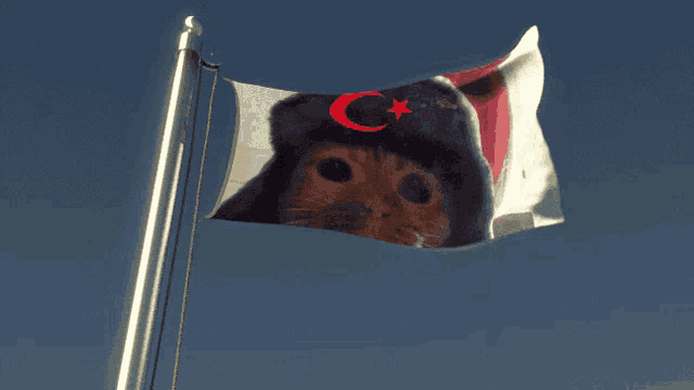 a flag with a cat wearing a hat with a crescent moon and star