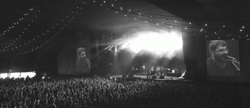 Live Concert Fans GIF - Live Concert Fans Crowd GIFs