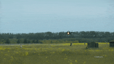 a topgun photo of a fighter jet taking off from a field of yellow flowers