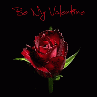Rose For You Be Mine GIF - Rose For You Be Mine Be My Valentine GIFs
