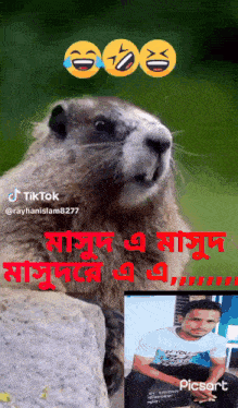 a picture of a squirrel and a picture of a man with a caption that says tiktok