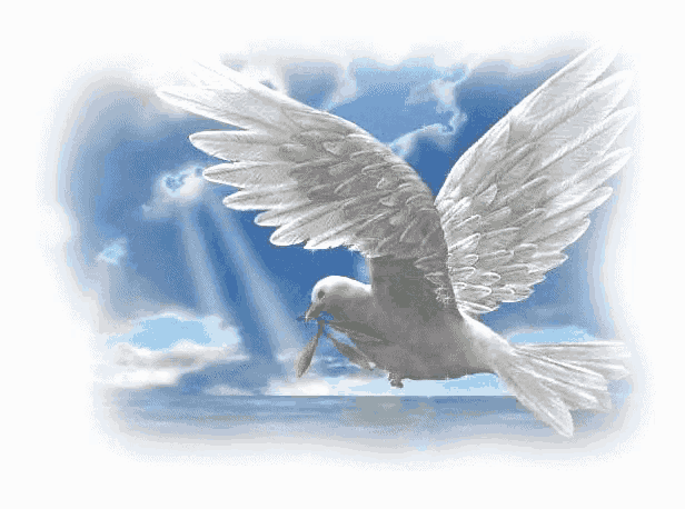 a white pigeon is flying over the ocean holding a green leaf in its beak