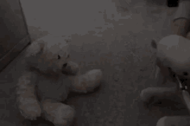 a white teddy bear is laying on the floor next to another teddy bear