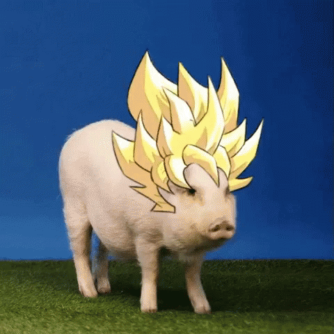 Pig Super Saiyan GIF - Pig Super Saiyan Power GIFs