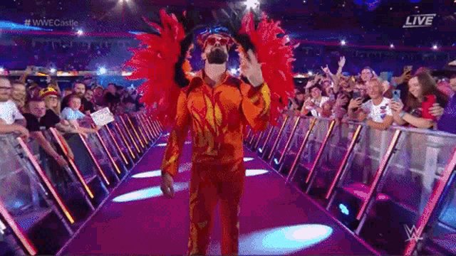 a wrestler is walking down a red carpet in front of a crowd