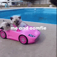 Me And Oomf Me And Oomfie GIF - Me And Oomf Me And Oomfie Me And You GIFs