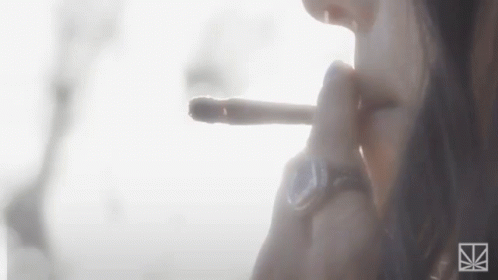 Smoking Smoke GIF - Smoking Smoke Cigarette GIFs