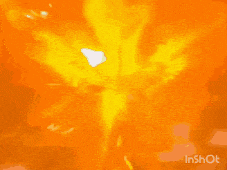 a drawing of a phoenix with its wings outstretched and the words inshot below it