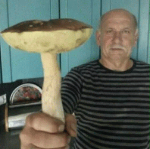 Mushroom Grandfather GIF - Mushroom Grandfather Food GIFs