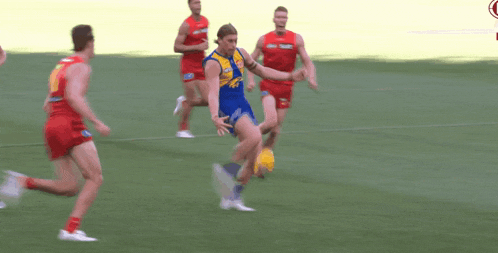 Afl West Coast Eagles GIF