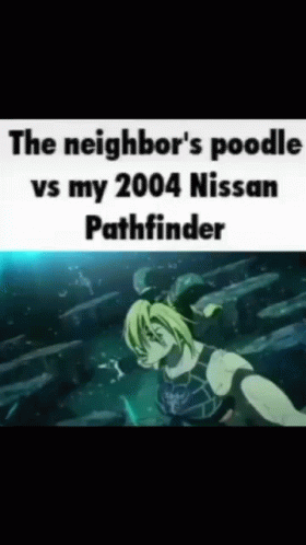 Neighbours Poodle GIF - Neighbours Poodle Vs GIFs