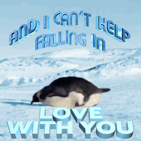 Can'T Help Falling In Love With You Meme Penguin Laying Down Meme GIF - Can'T Help Falling In Love With You Meme Penguin Laying Down Meme Atrabilis GIFs