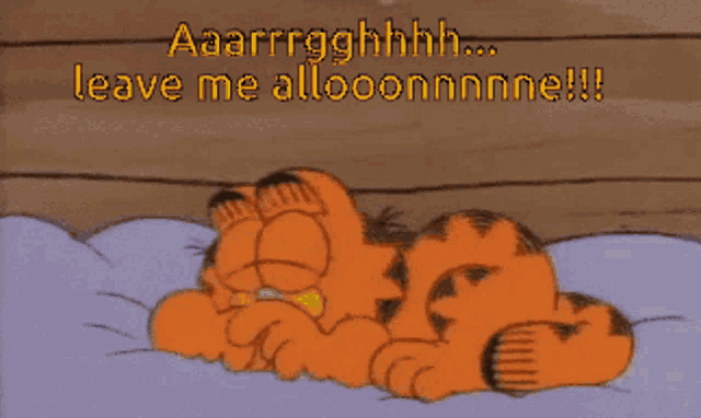 a cartoon of garfield laying on a bed with the words aaarrgghhhh leave me alloooonnnne