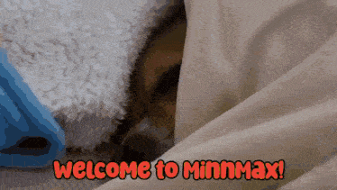 Welcome To Minnmax Pets Minnmax GIF - Welcome To Minnmax Minnmax Pets Minnmax GIFs