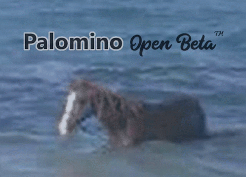 Palomino Rp Palominorp Palo Palomino Gmod Server GIF - Palomino Rp Palominorp Palo Palomino Gmod Server GIFs